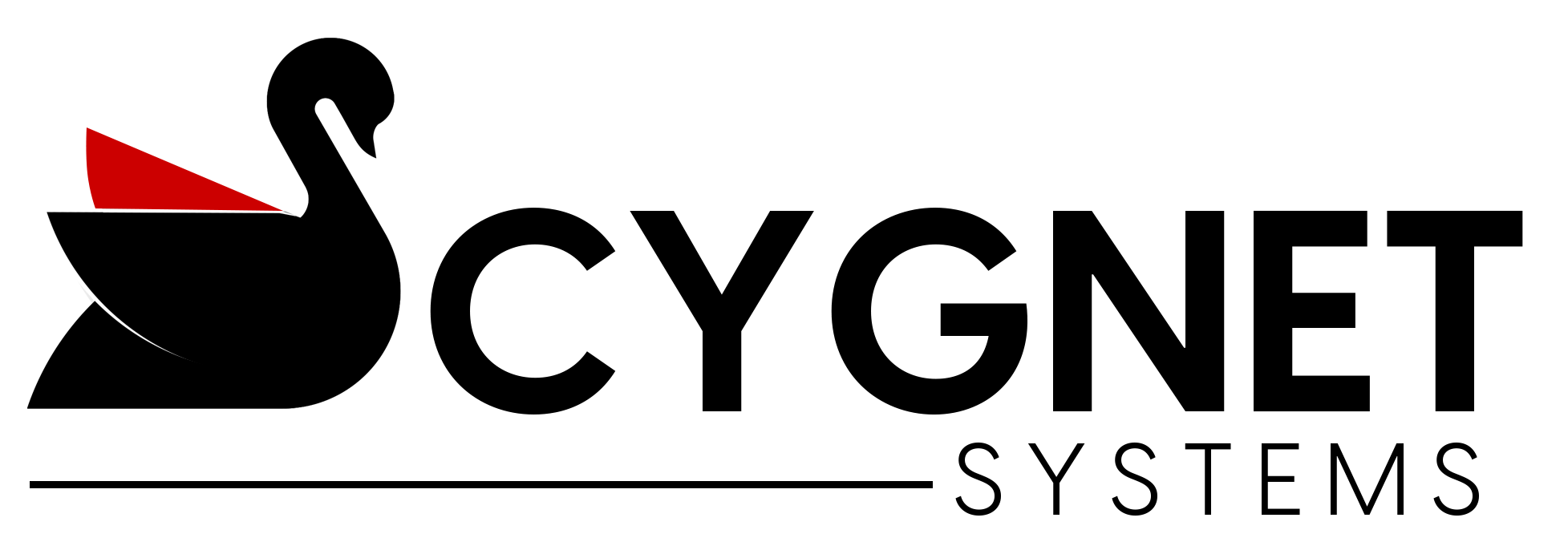 Cygnet Systems